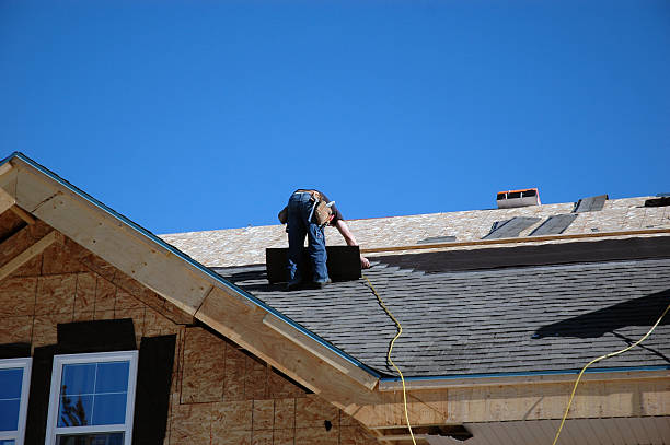 Roof Gutter Cleaning in Primera, TX