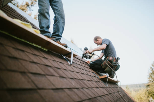 Quick and Trustworthy Emergency Roof Repair Services in Primera, TX